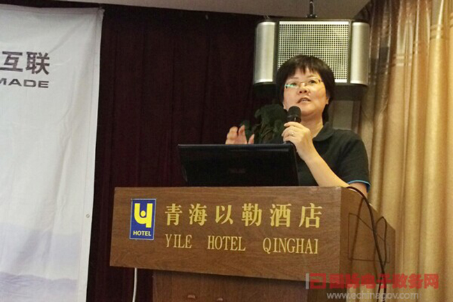 奇异果体育互联总经理、首席规划师郑爱军正在进行《政府网站+评估体系构建思路》的主题演讲