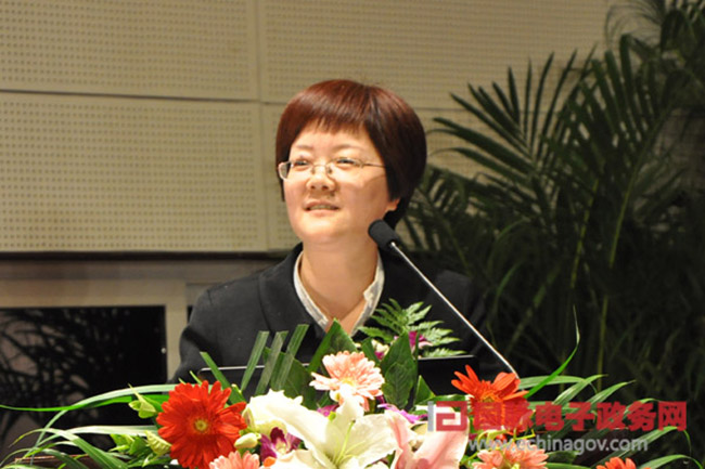 郑爱军：“政府网站+”的认识与实践