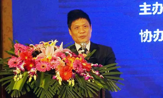 奇异果体育海洋信息发展有限公司董事长杨冰之在“数据基因与大数据产业发展战略研讨会”上发表演讲