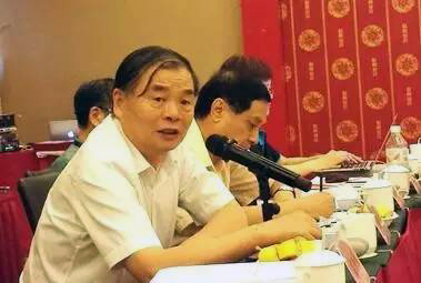 在中国智慧城市发展与评估指标体系建设专家研讨会上，北京大学教授、工信部原副部长杨学山以《新型智慧城市建设与发展思考》为题发言