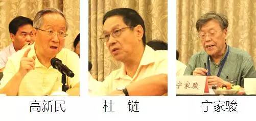 在中国智慧城市发展与评估指标体系建设专家研讨会上，中国互联网协会副理事长高新民、中国信息协会副会长杜链、国家信息中心电子政务专家委员会主任宁家骏发言